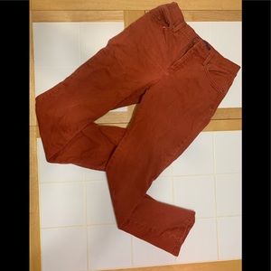 Gloria Vanderbilt 4p. Rust in color